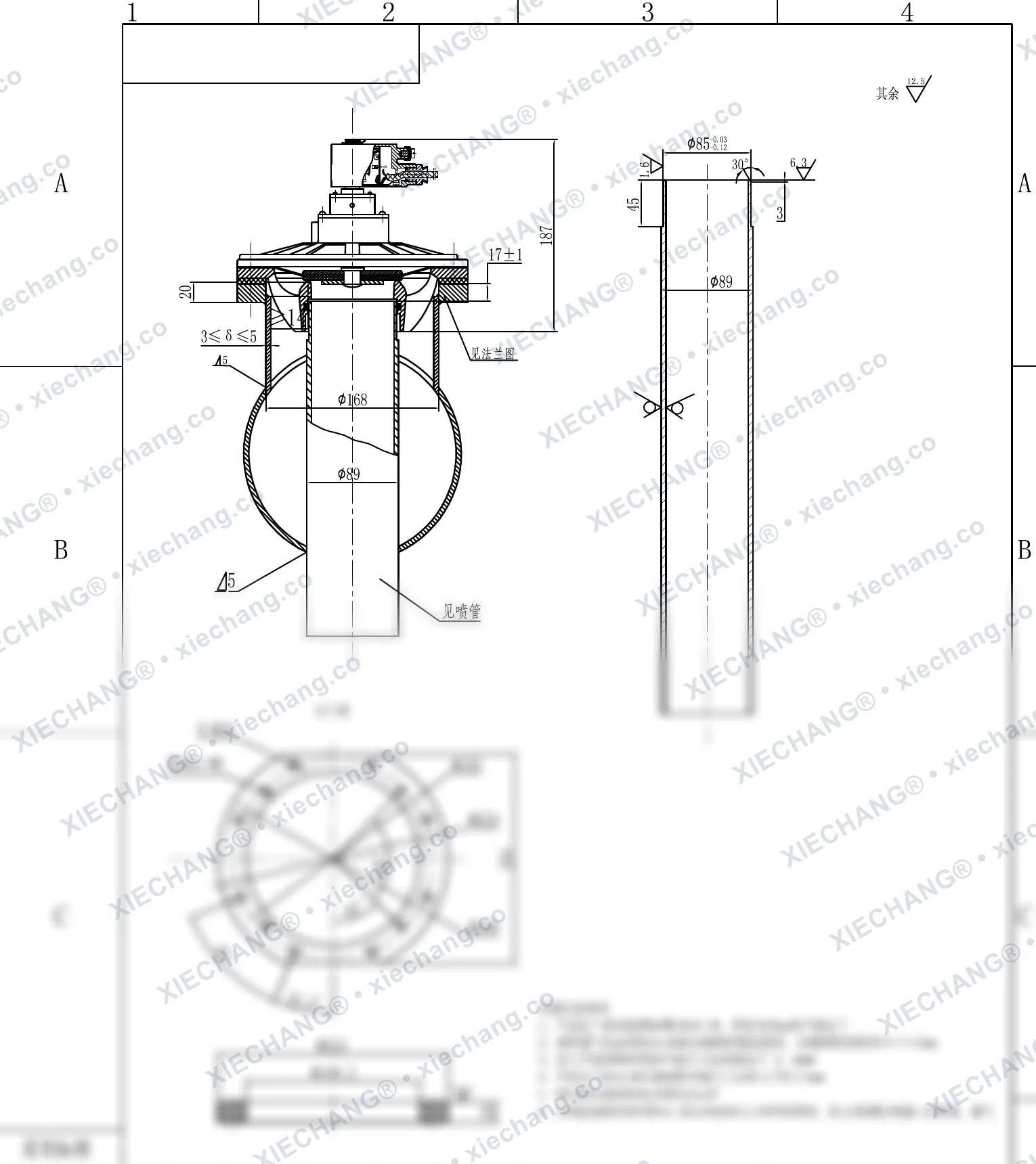 DMY-F-II-80 · DN80 (3") · électrovanne à impulsions immergée antidéflagrante (avec tube de pulvérisation / bride traversante) — Plan d'installation